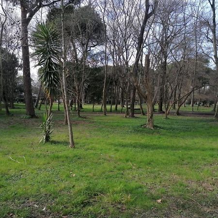 וירג'יו La Casina Giramondo Di Ele מראה חיצוני תמונה